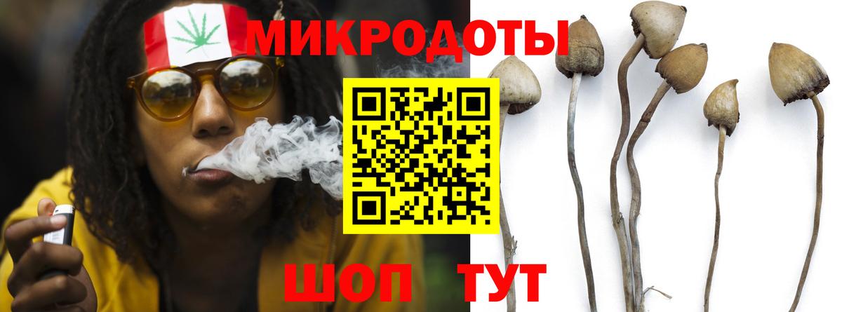 Псилоцибиновые грибы мухоморы Бахчисарай